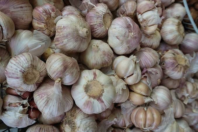 Garlic bulbs